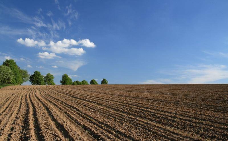 Инвентаризация земель и Лесхоз как в Польше - Обещания коалиции