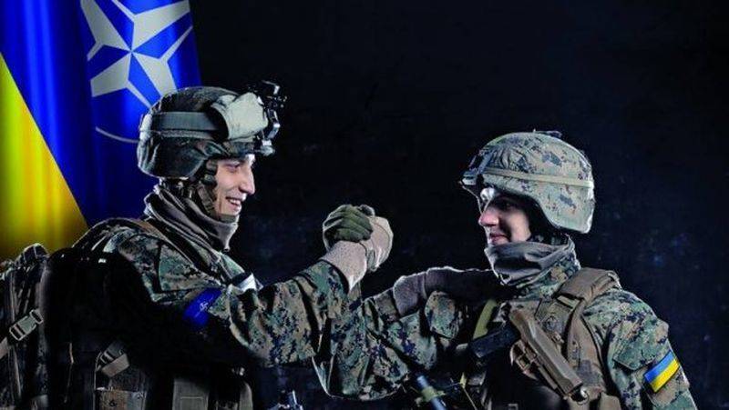 США: мы настроены, чтобы Украина и Грузия стали членами НАТО